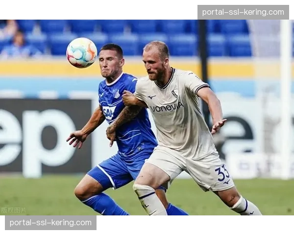天气预警:霍芬海姆对阵波鸿的比赛可能因雷雨天气延迟 天气预警:霍芬海姆对阵波鸿的比赛可能因雷雨天气延迟
